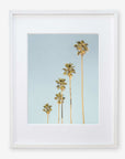 Framed photograph of a group of tall palm trees against a clear blue sky, depicted in a simple white frame, capturing the essence of California style - Offley Green's Los Angeles Palm Tree Photographic Print 'Palm Tree Steps'.
