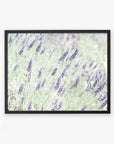 A framed Floral Purple Print of a lavender field, with vibrant purple flowers and green foliage, printed on archival photographic paper and displayed against a white background by Offley Green.