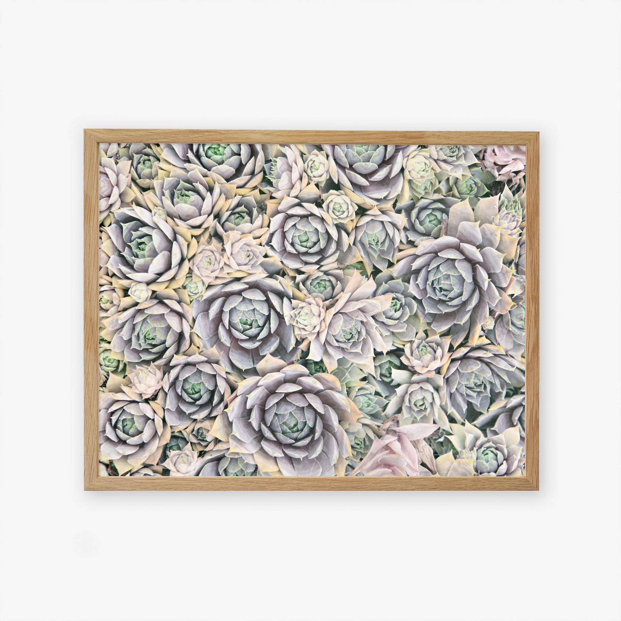 Natural oak frame without matting