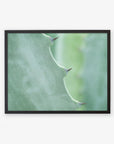 Close-up photo of an Offley Green Mint Green Botanical Print, 'Aloe Vera Spikes' plant leaf with sharp thorns on its edges, framed and displayed on a wall. The background is softly blurred, emphasizing the leaf detail.