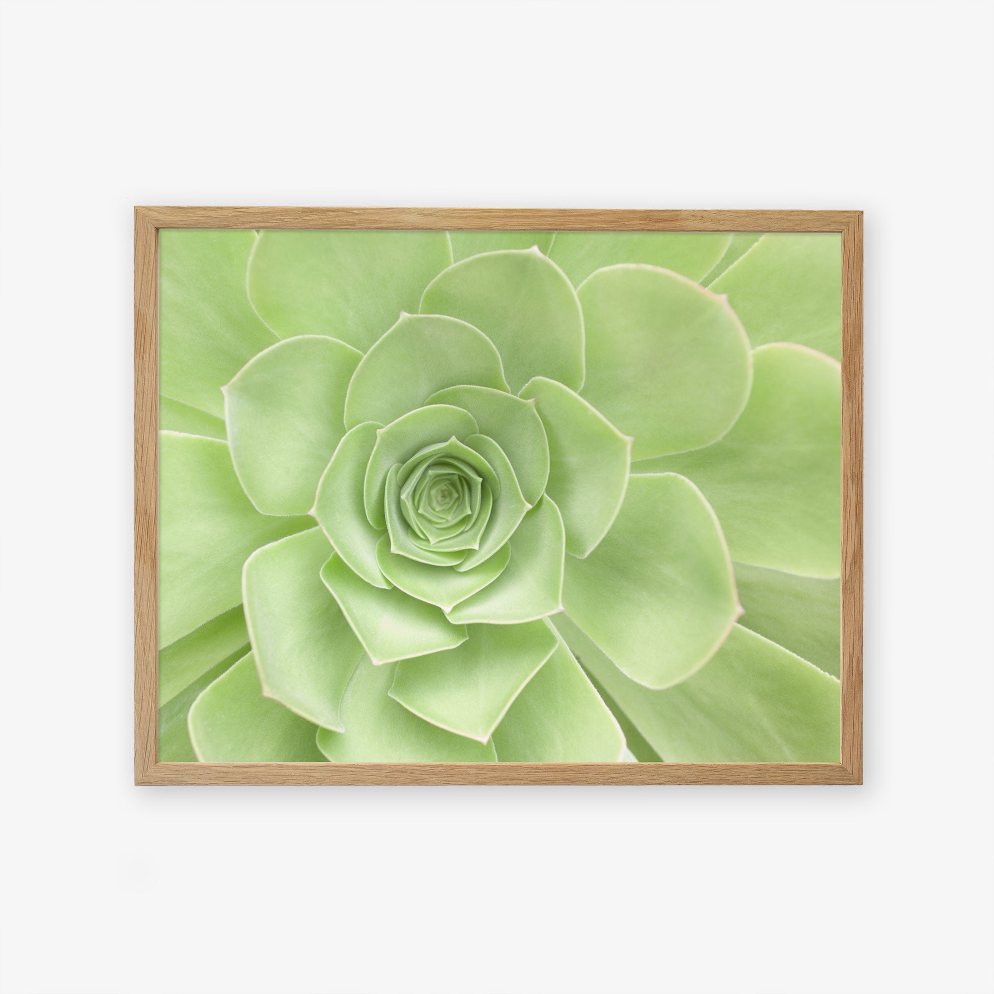 Natural oak frame without matting