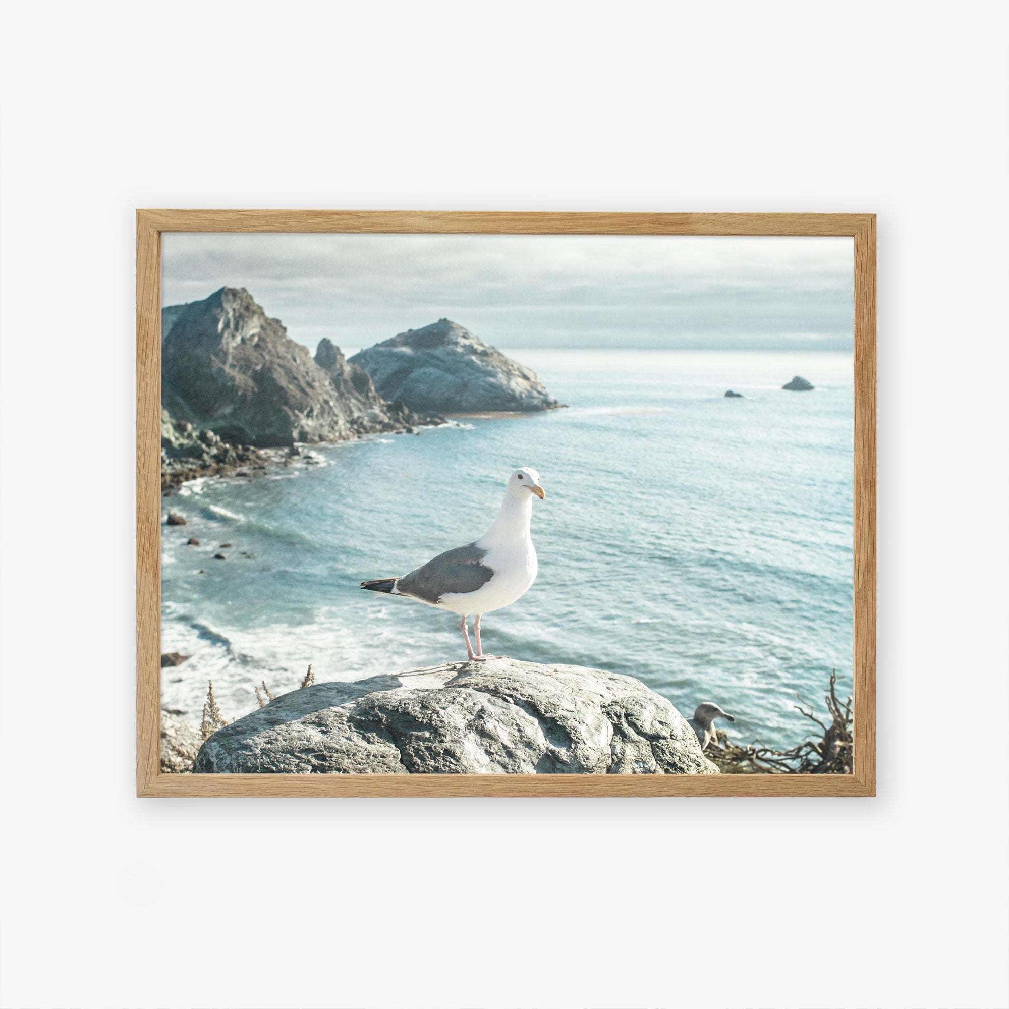Big Sur Coastal Seagull Print 'Bird on Rock' – Offley Green