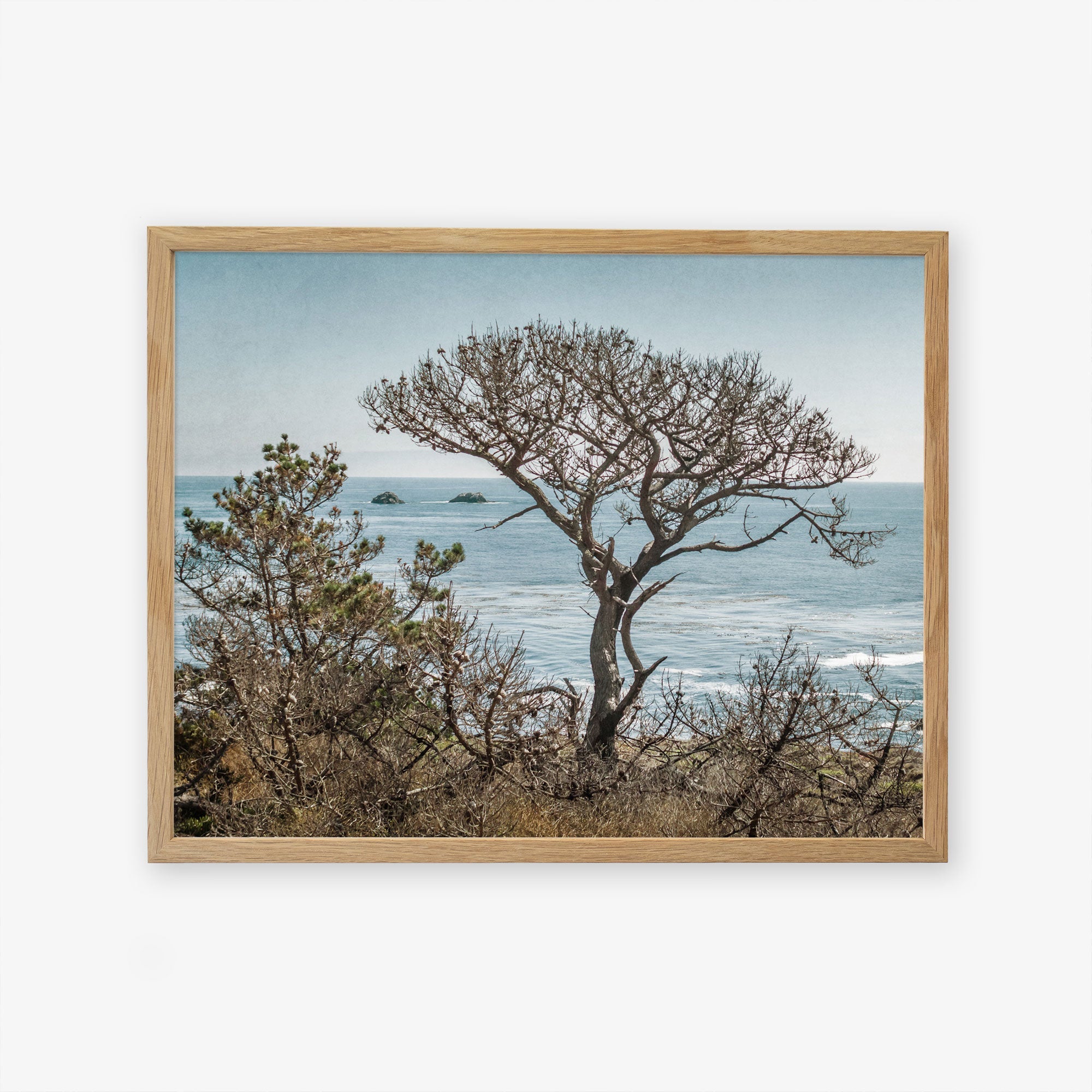 Natural oak frame without matting