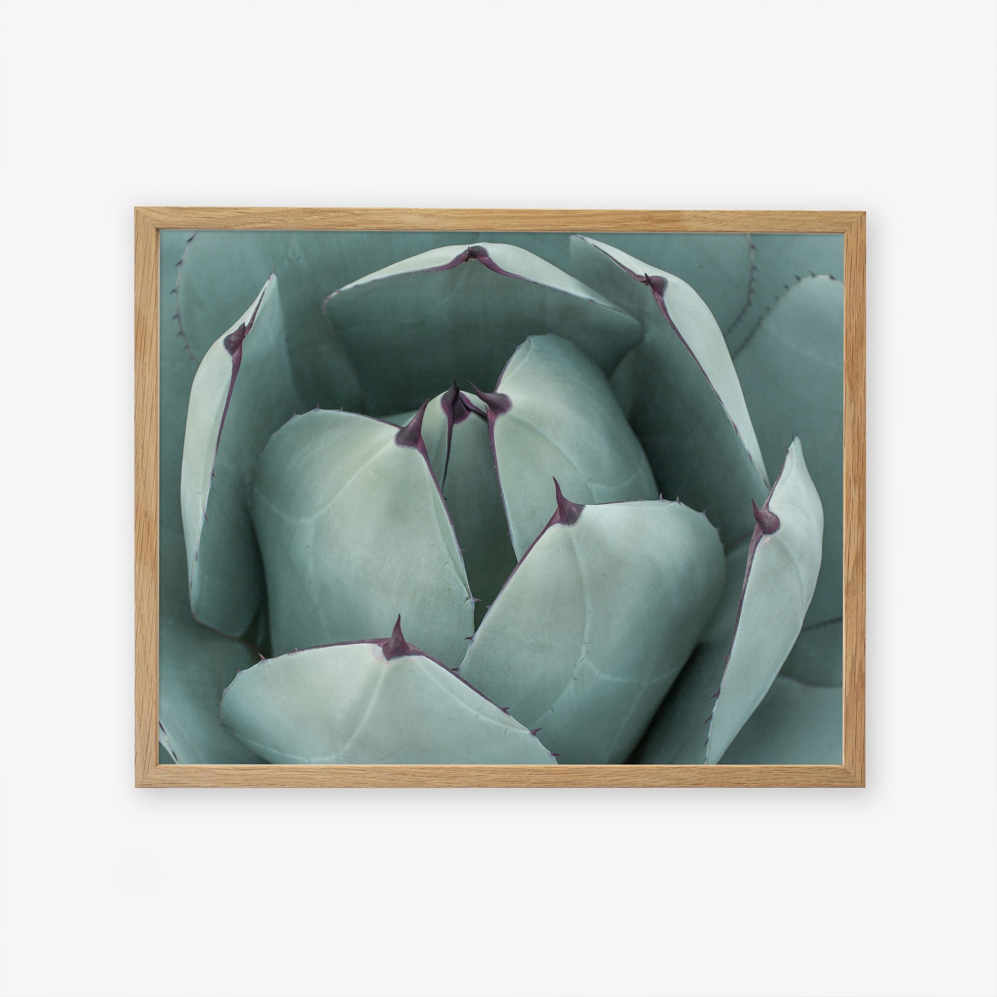 A framed photograph of an Abstract Teal Green Botanical Print, &#39;Teal Petals&#39; by Offley Green, printed on archival photographic paper and displayed on a white background.