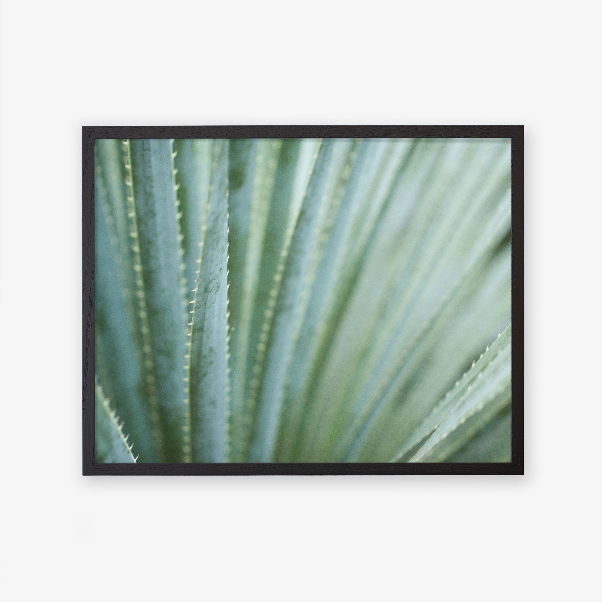 Black oak frame without matting