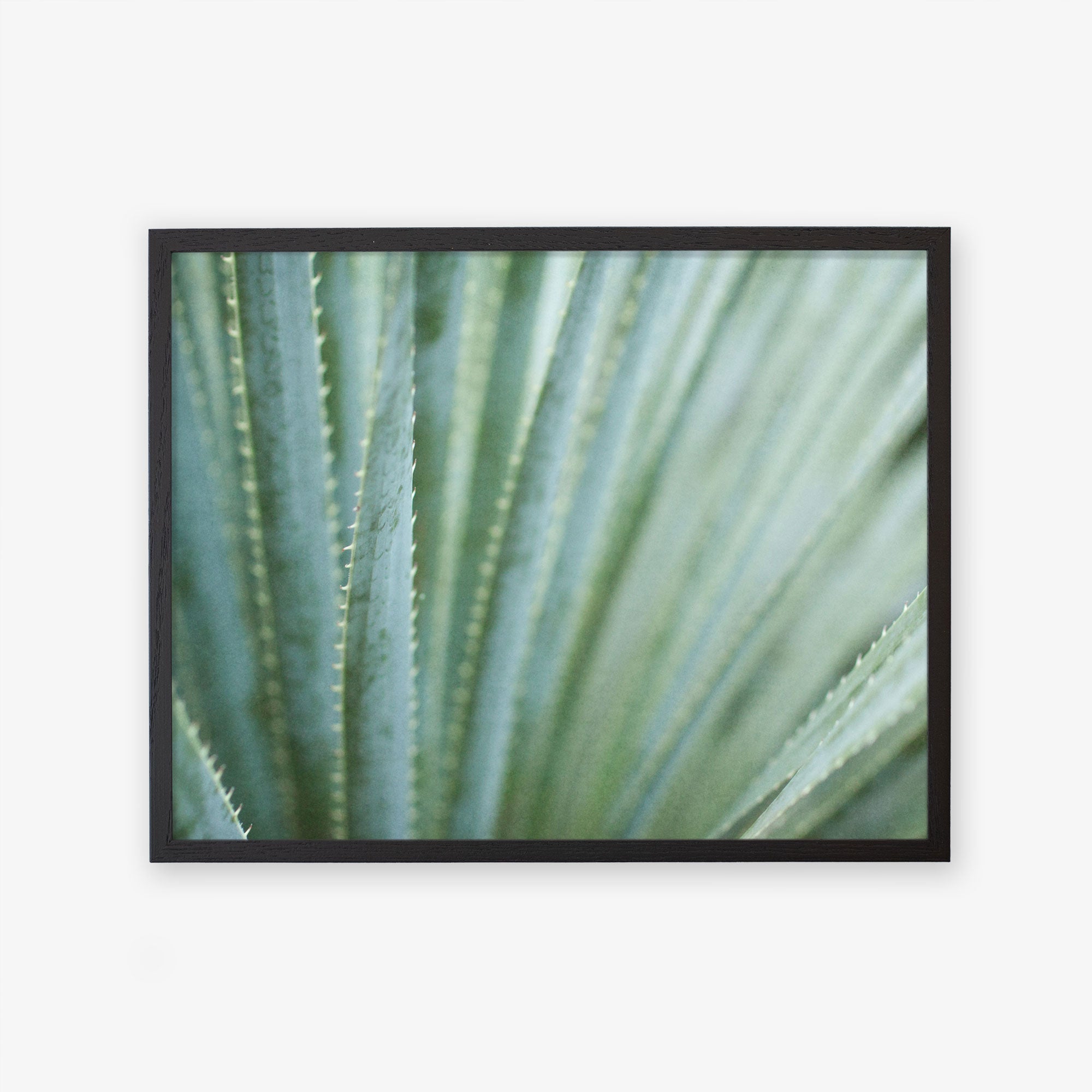 A framed photograph of an Abstract Green Botanical Print, &#39;Strands and Spikes&#39; by Offley Green, hanging on a white wall. The focus is sharp on the pattern of the leaves, printed on archival photographic.