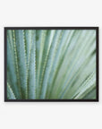 A framed photograph of an Abstract Green Botanical Print, 'Strands and Spikes' by Offley Green, hanging on a white wall. The focus is sharp on the pattern of the leaves, printed on archival photographic.