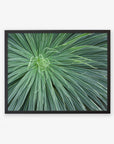 Black oak frame without matting