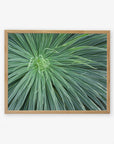 Natural oak frame without matting