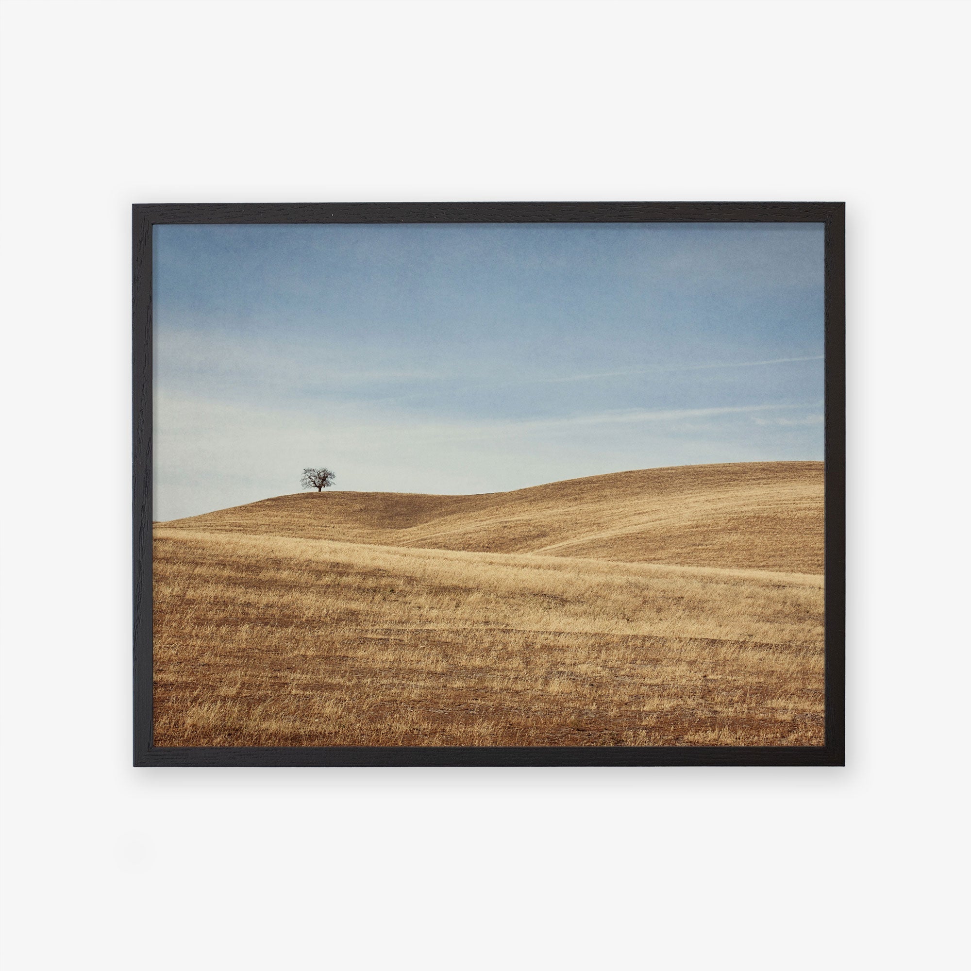Black oak frame without matting