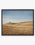 Black oak frame without matting