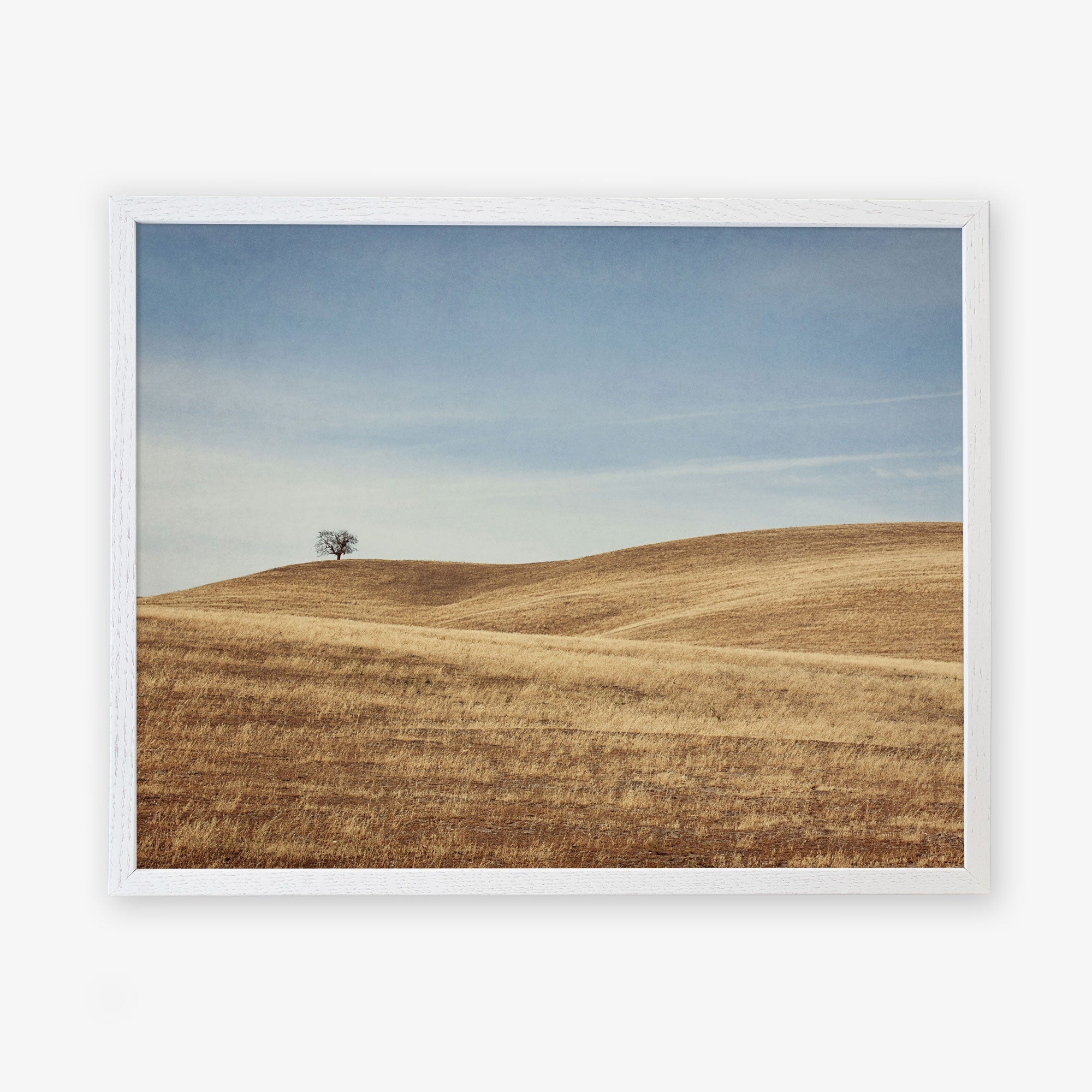 White oak frame without matting