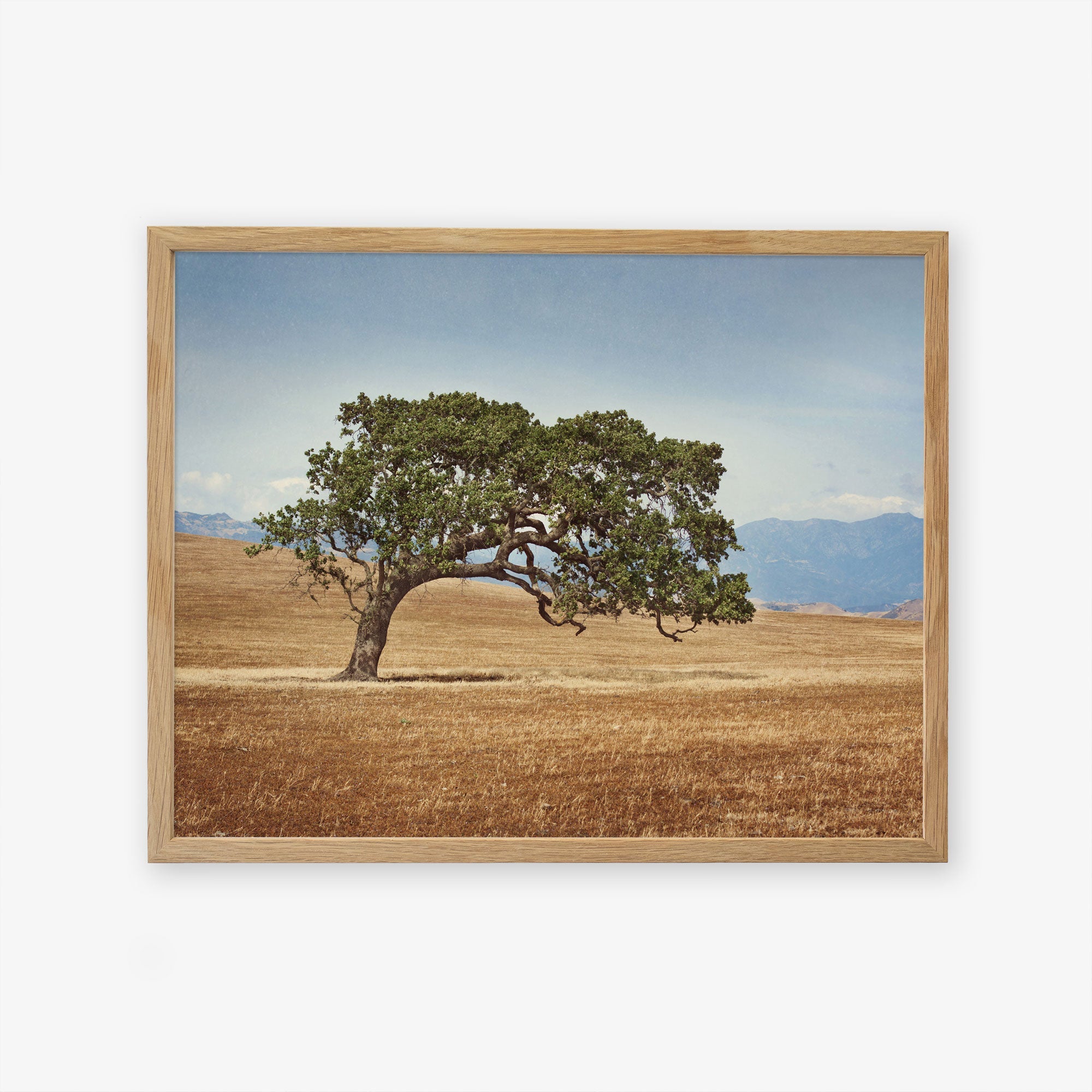 Natural oak frame without matting