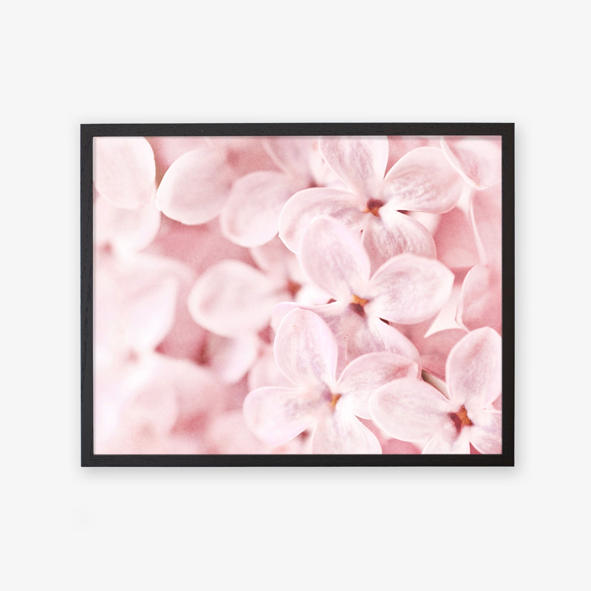 Black oak frame without matting