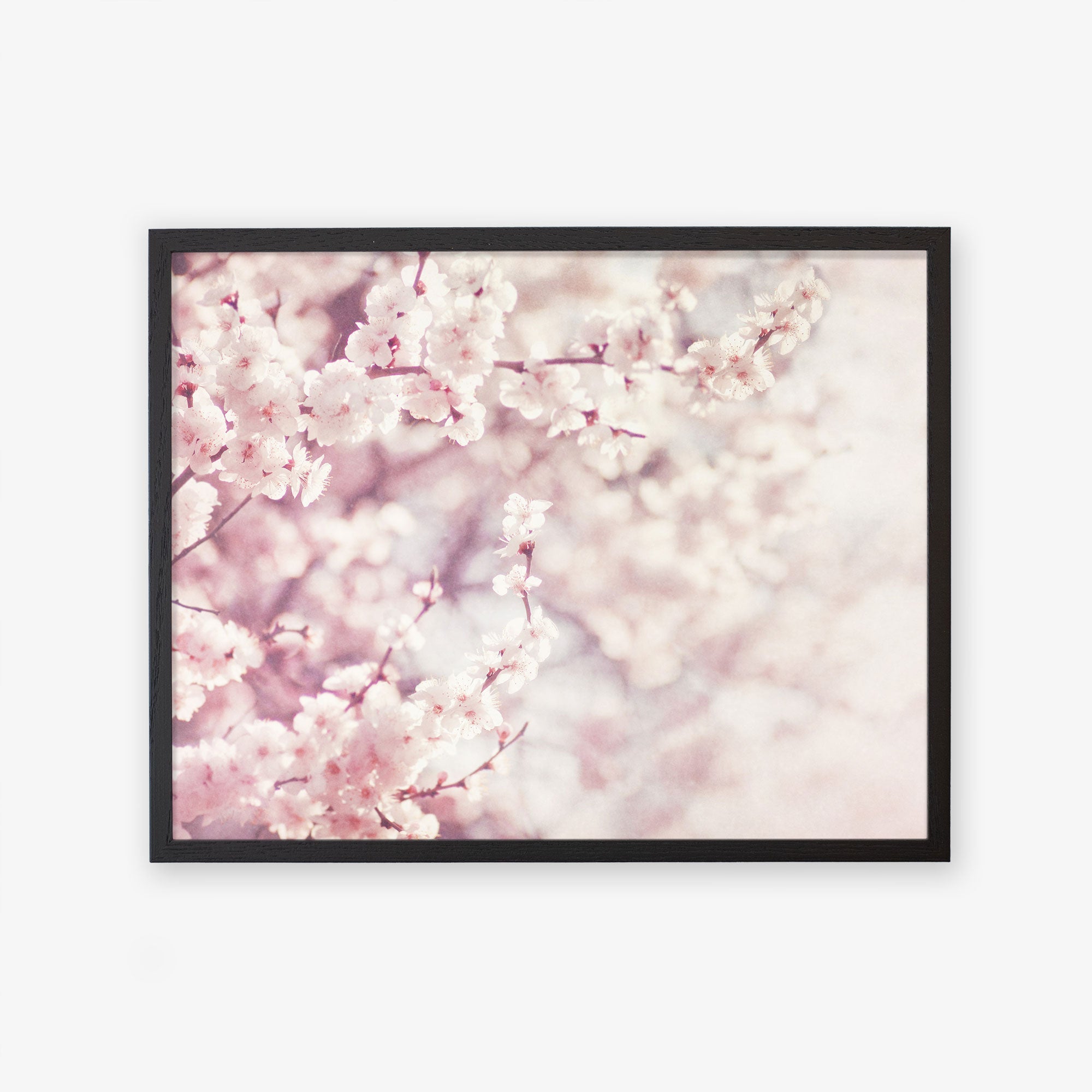 Framed artwork featuring the &#39;Dreamy Blossom&#39; Pink Floral Print by Offley Green, a close-up photograph of pink cherry blossoms against a soft, blurred background, printed on archival photographic paper. The image conveys a serene and delicate spring scene.