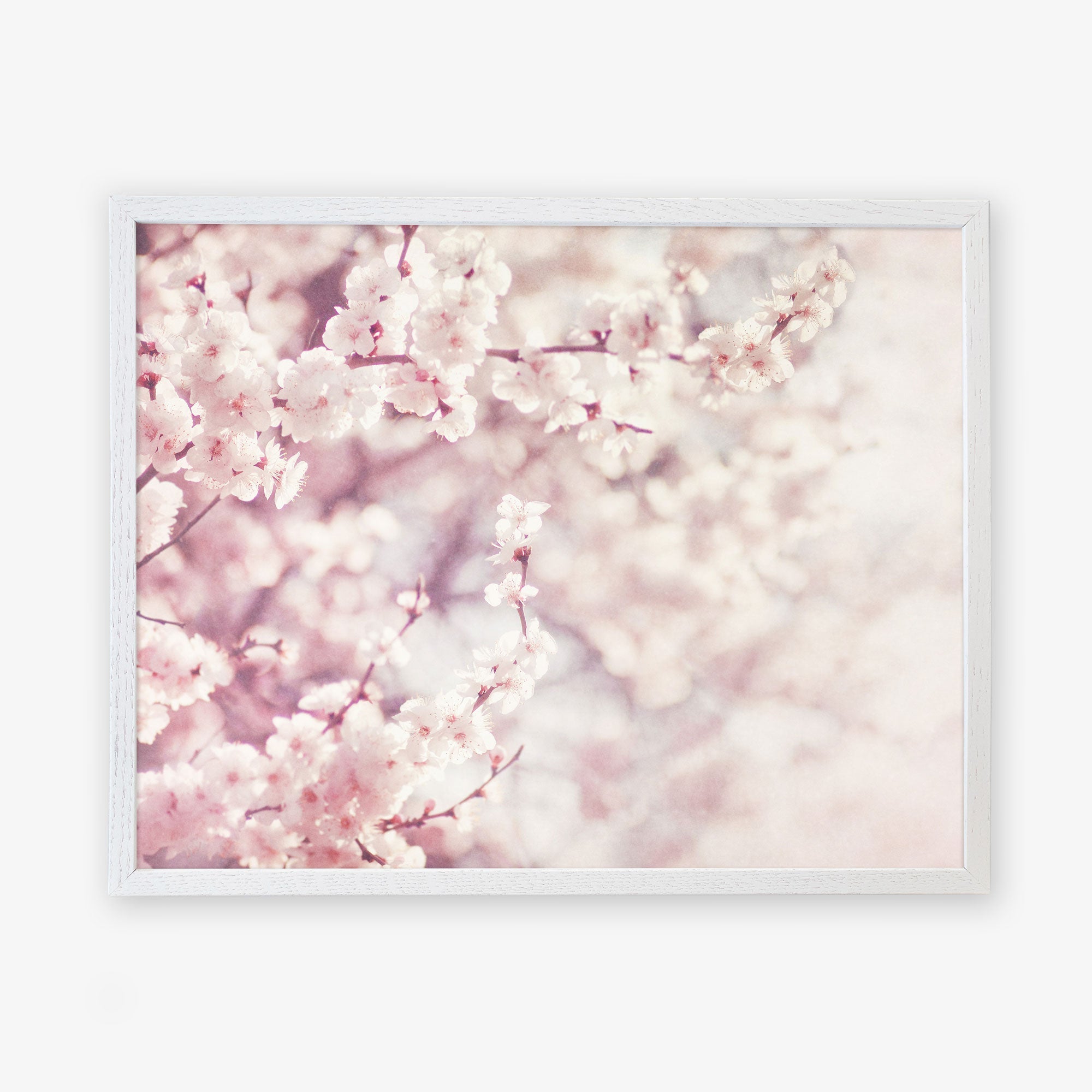 A framed image of delicate cherry blossoms in shabby pink tones, capturing a dreamy and ethereal springtime scene - Offley Green&#39;s Pink Floral Print, &#39;Dreamy Blossom&#39;.