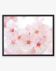 A framed photograph of delicate pink cherry blossoms printed on archival photographic paper, displaying subtle shades of pink and white petals with visible stamens against a soft-focus background by Offley Green.