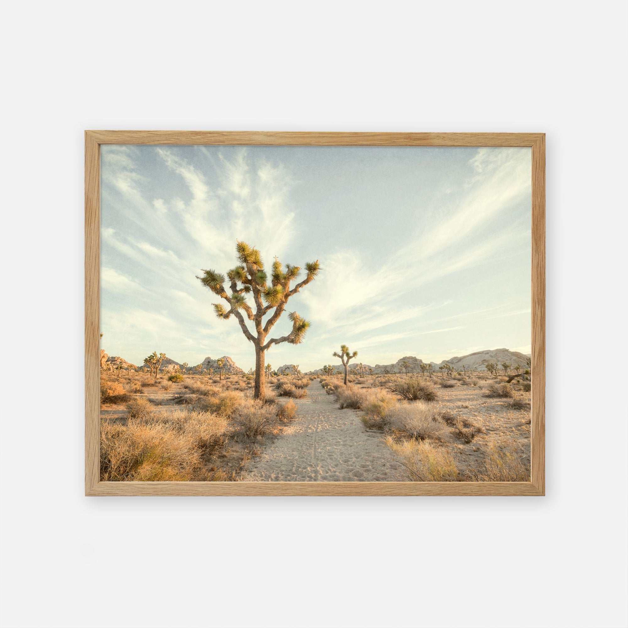 A framed image of a desert landscape featuring a dirt path leading through scrubby bushes and joshua trees under a clear sky, printed on archival photographic paper. The scene conveys a serene, natural Offley Green Joshua Tree Print, &#39;Path to Joshua&#39;.