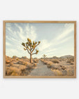 A framed image of a desert landscape featuring a dirt path leading through scrubby bushes and joshua trees under a clear sky, printed on archival photographic paper. The scene conveys a serene, natural Offley Green Joshua Tree Print, 'Path to Joshua'.