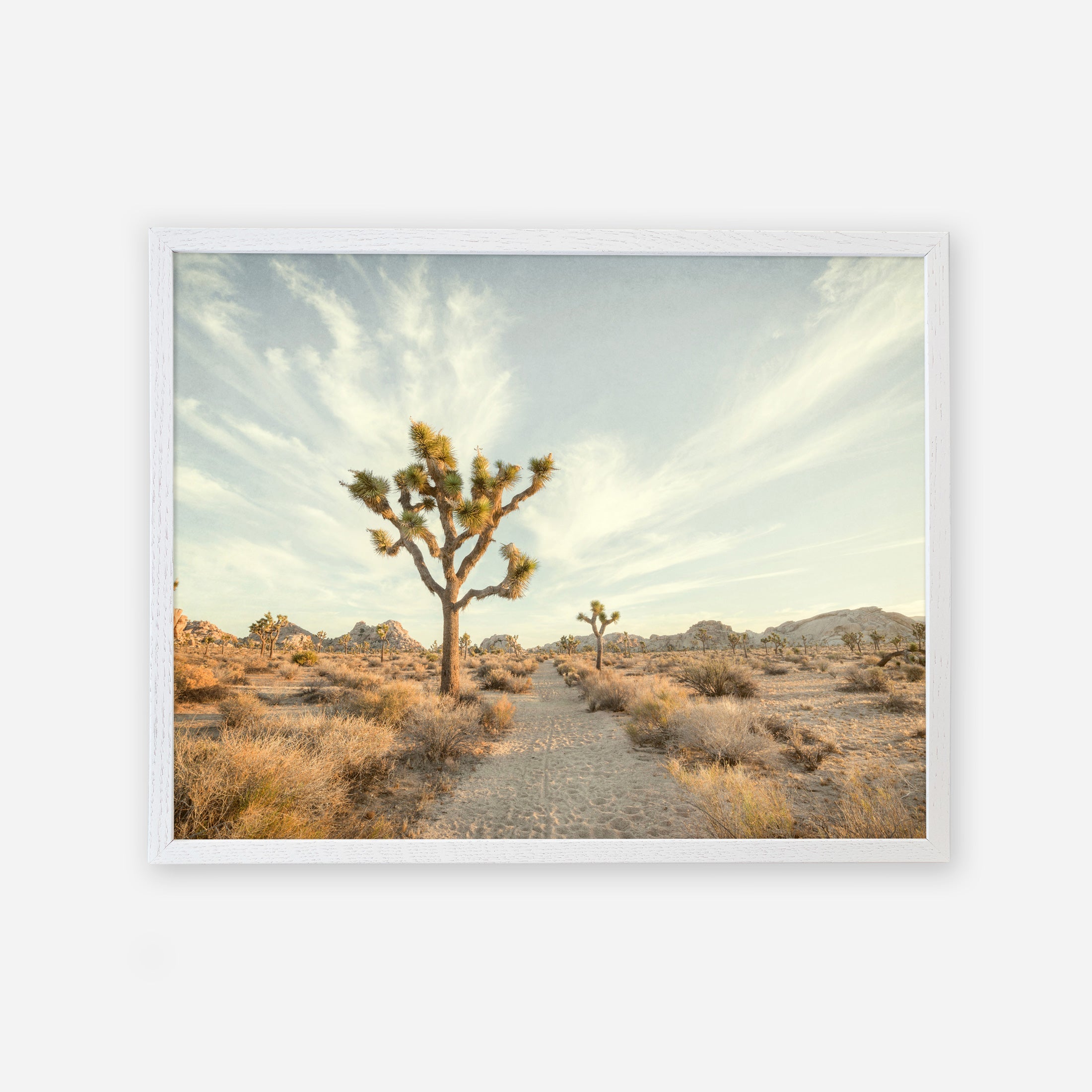 A serene desert landscape featuring a prominent Offley Green Joshua Tree Print, &#39;Path to Joshua&#39; in the center, set against a pale sky with wispy clouds, and surrounded by sparse vegetation and rocky terrain near Palm Springs.