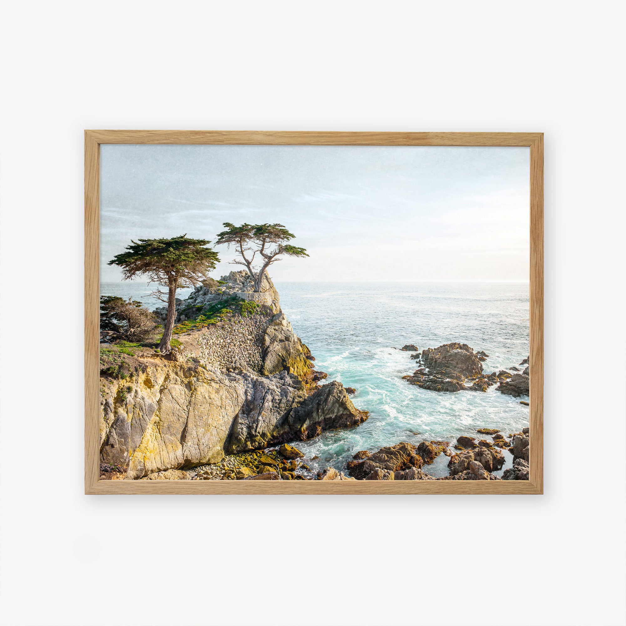 California Coastal Print, 'Lone Cypress'