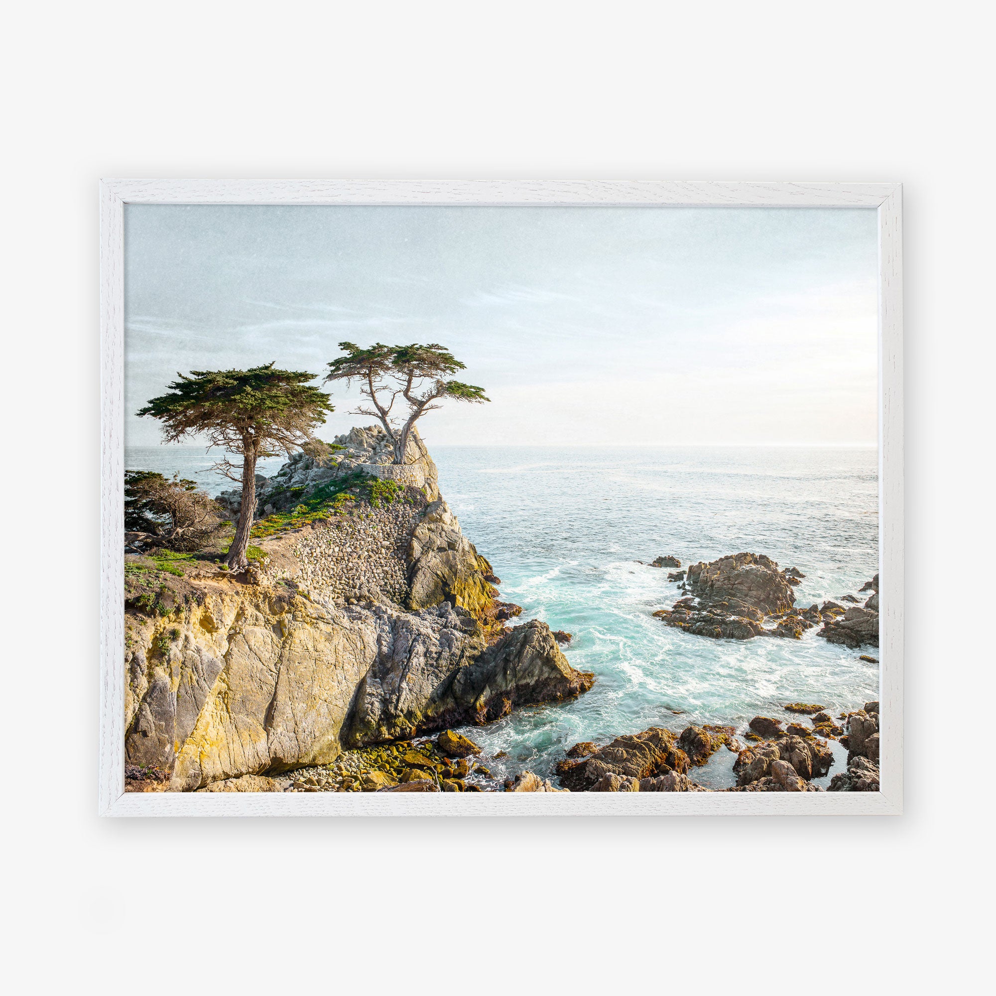 California Coastal Print, 'Lone Cypress'