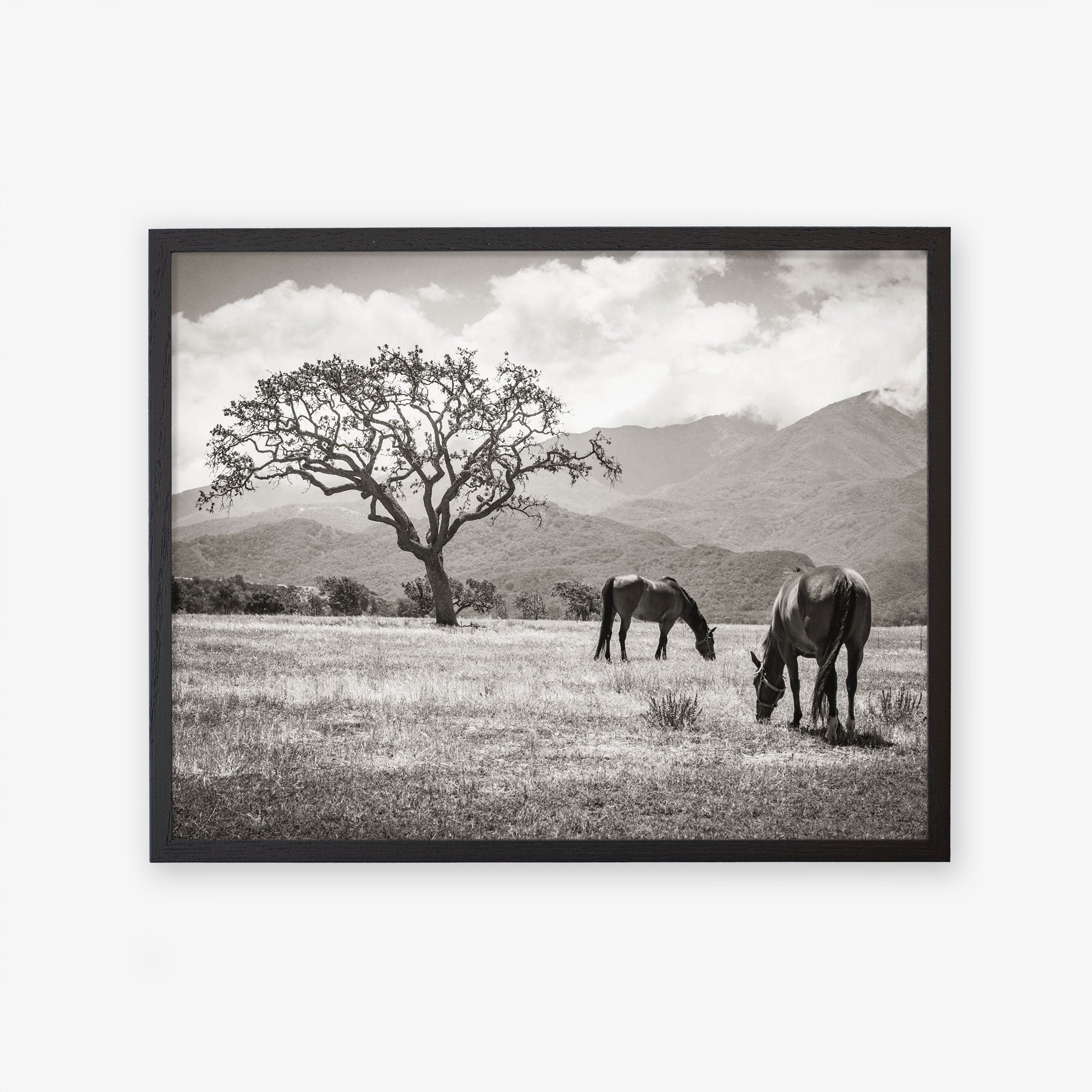 Black oak frame without matting