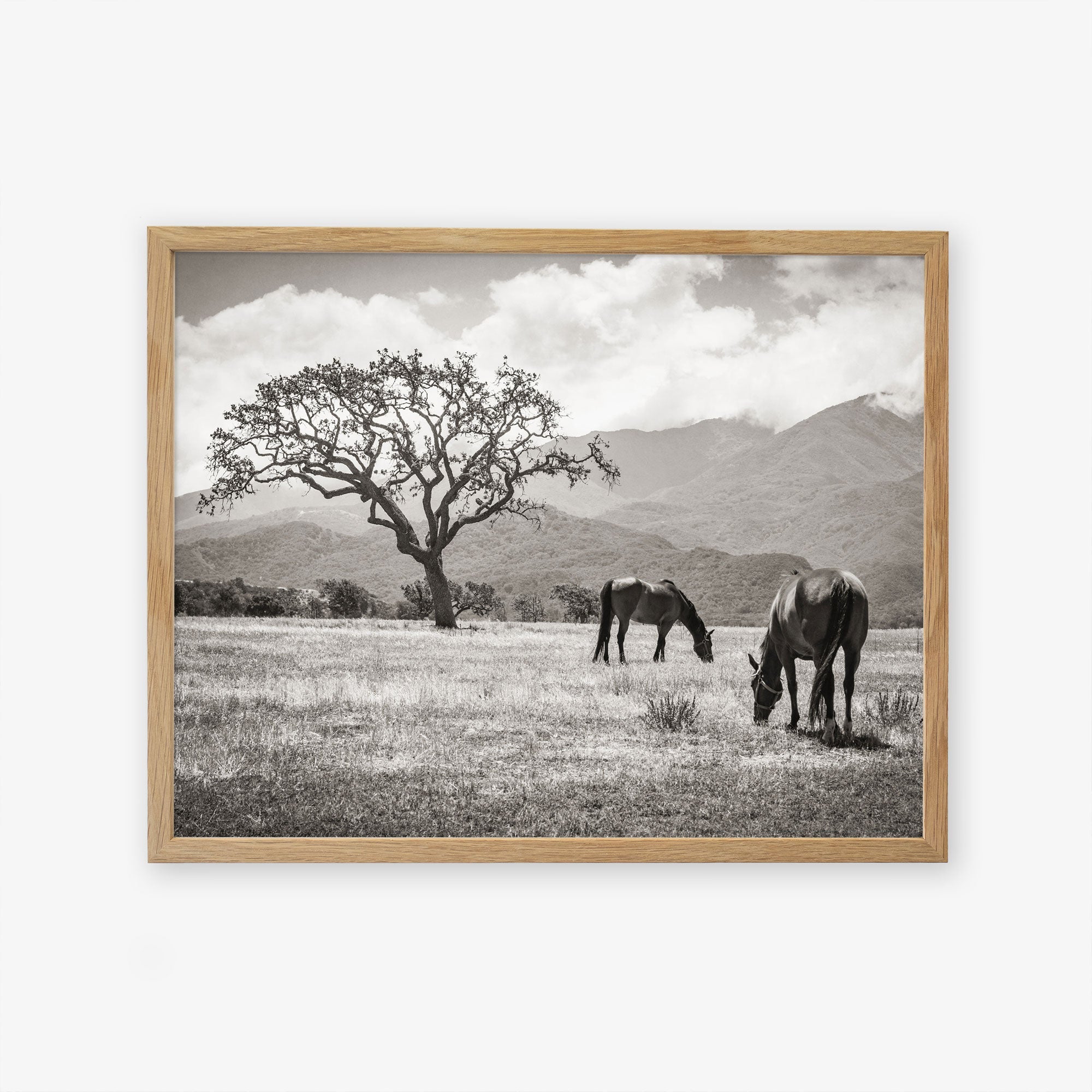 Natural oak frame without matting