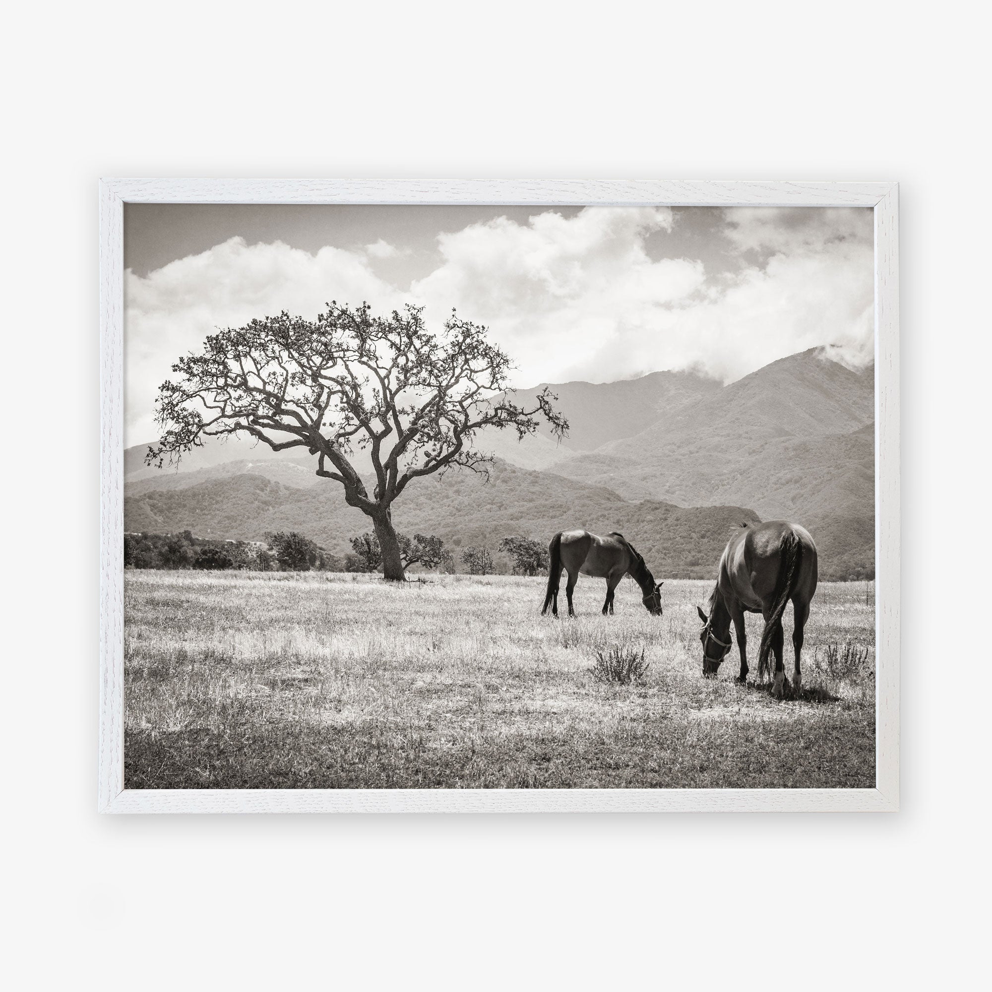 White oak frame without matting