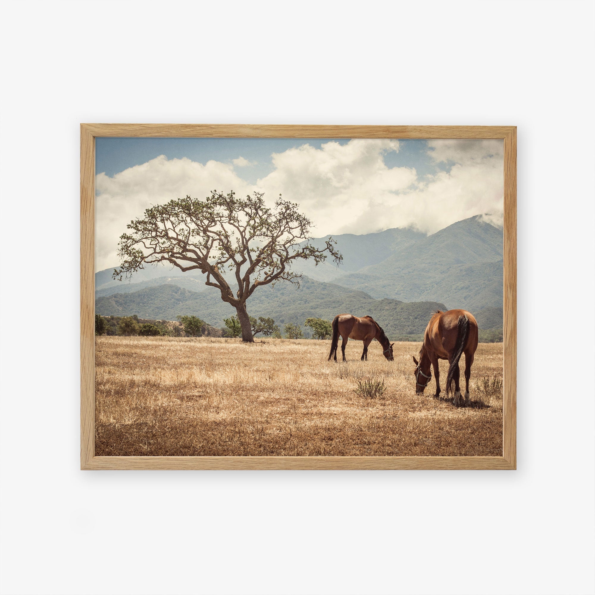 A Offley Green framed artwork depicting two horses grazing in the Santa Ynez Valley with a large tree and mountains in the background under a cloudy sky.