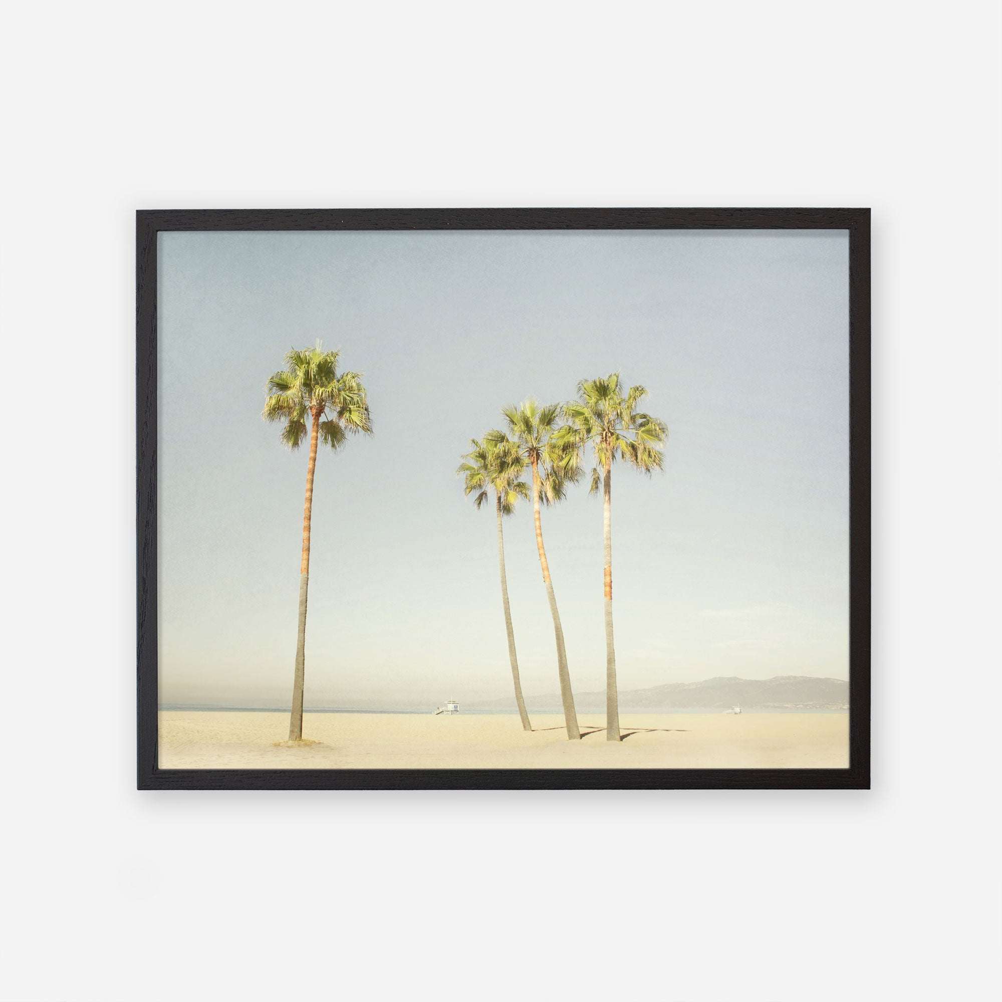 An unframed artwork of four tall palm trees on a sandy beach against a clear sky, displayed on pure white archival photographic paper - Offley Green&#39;s California Venice Beach Print &#39;Boardwalk Palms&#39;.