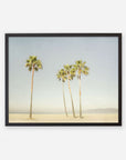 An unframed artwork of four tall palm trees on a sandy beach against a clear sky, displayed on pure white archival photographic paper - Offley Green's California Venice Beach Print 'Boardwalk Palms'.