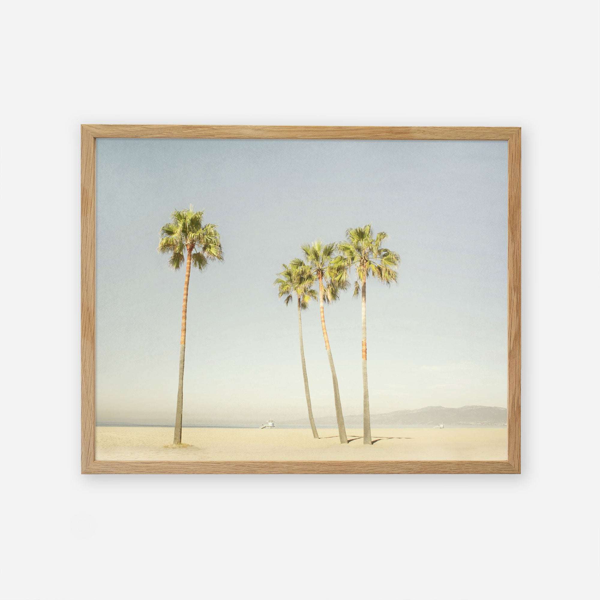A framed photograph of four tall palm trees on a sandy beach with clear skies, printed on archival photographic paper. The frame is simple and wooden, enhancing the calm beach scene depicted within. The product is the Offley Green California Venice Beach Print, &#39;Boardwalk Palms&#39;.