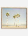 A framed photograph of four tall palm trees on a sandy beach with clear skies, printed on archival photographic paper. The frame is simple and wooden, enhancing the calm beach scene depicted within. The product is the Offley Green California Venice Beach Print, 'Boardwalk Palms'.