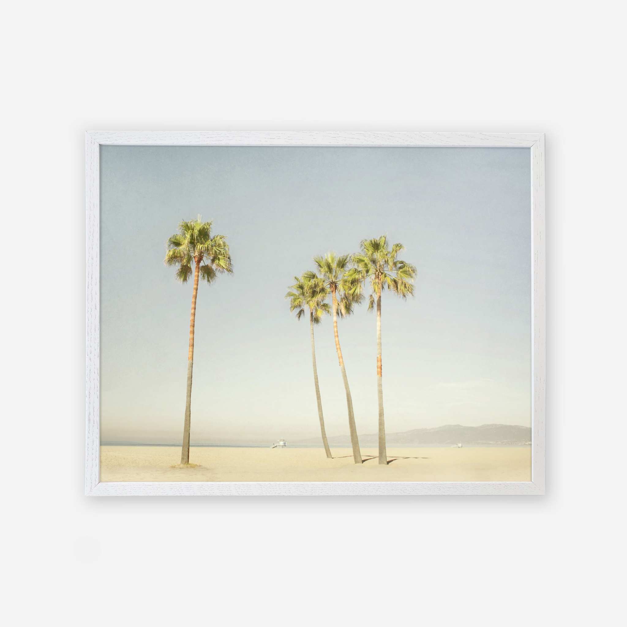 A framed picture of four tall palm trees on a sandy beach with clear skies, giving a calm and serene Offley Green California Venice Beach Print, &#39;Boardwalk Palms&#39; photography scene.