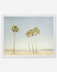 A framed picture of four tall palm trees on a sandy beach with clear skies, giving a calm and serene Offley Green California Venice Beach Print, 'Boardwalk Palms' photography scene.
