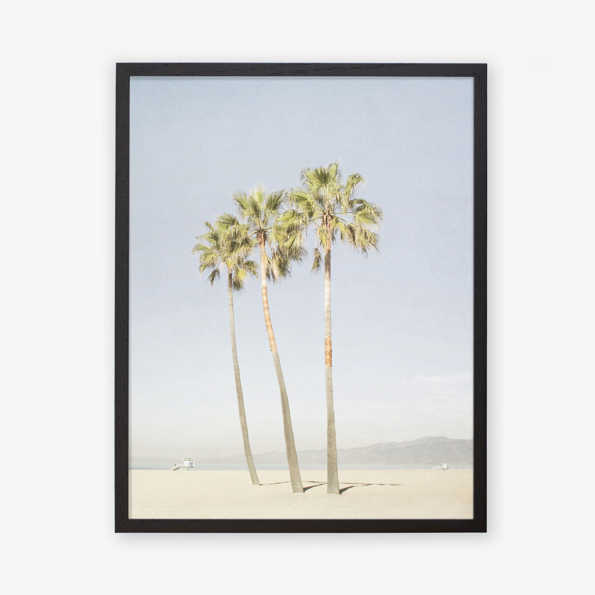 Black oak frame without matting