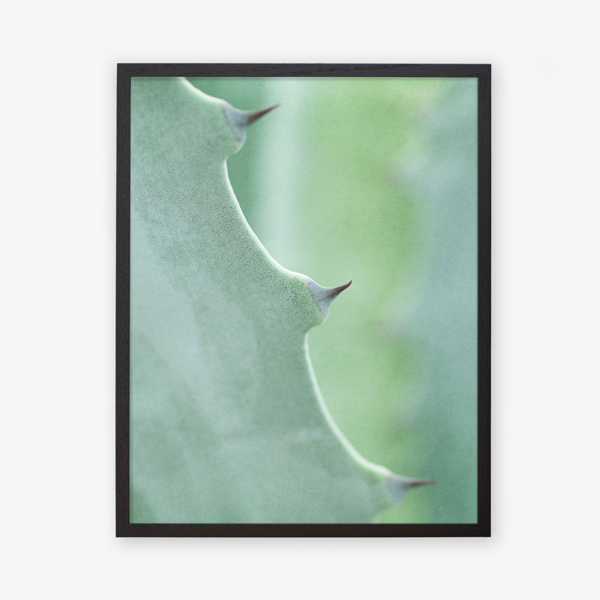 Black oak frame without matting