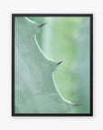 A close-up photograph of an Offley Green 'Aloe Vera Spikes II' green botanical print, with sharp thorns along its edge, framed with a simple black border, against a softly blurred background.