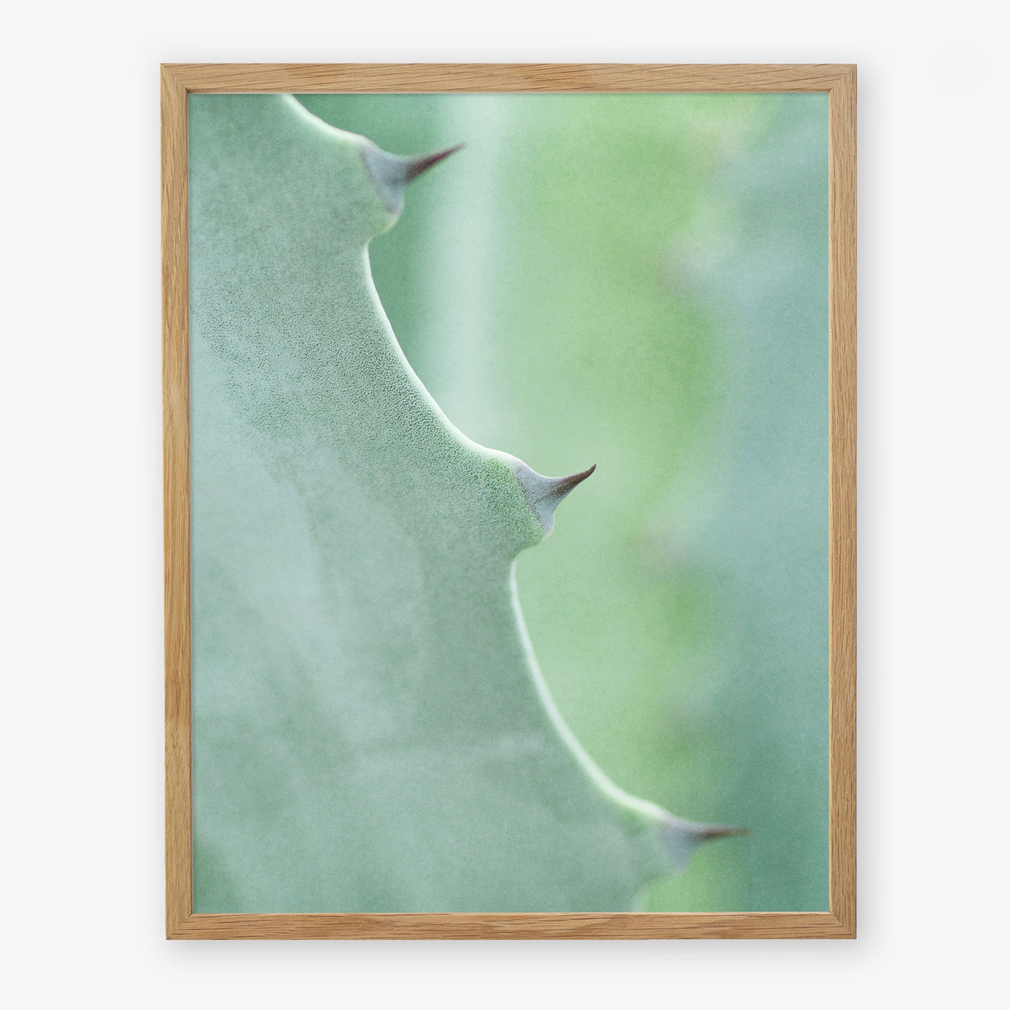 Natural oak frame without matting