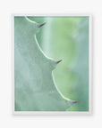 Close-up of a green Offley Green botanical print, 'Aloe Vera Spikes II' leaf with sharp thorns, framed against a softly blurred green background, emphasizing the texture and natural curves of the leaf.