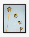 Framed photo depicting five tall palm trees against a clear California sky, artistically arranged with varying heights and lush green tops - Offley Green's Los Angeles Palm Tree Photographic Print 'Palm Stairs to Heaven'