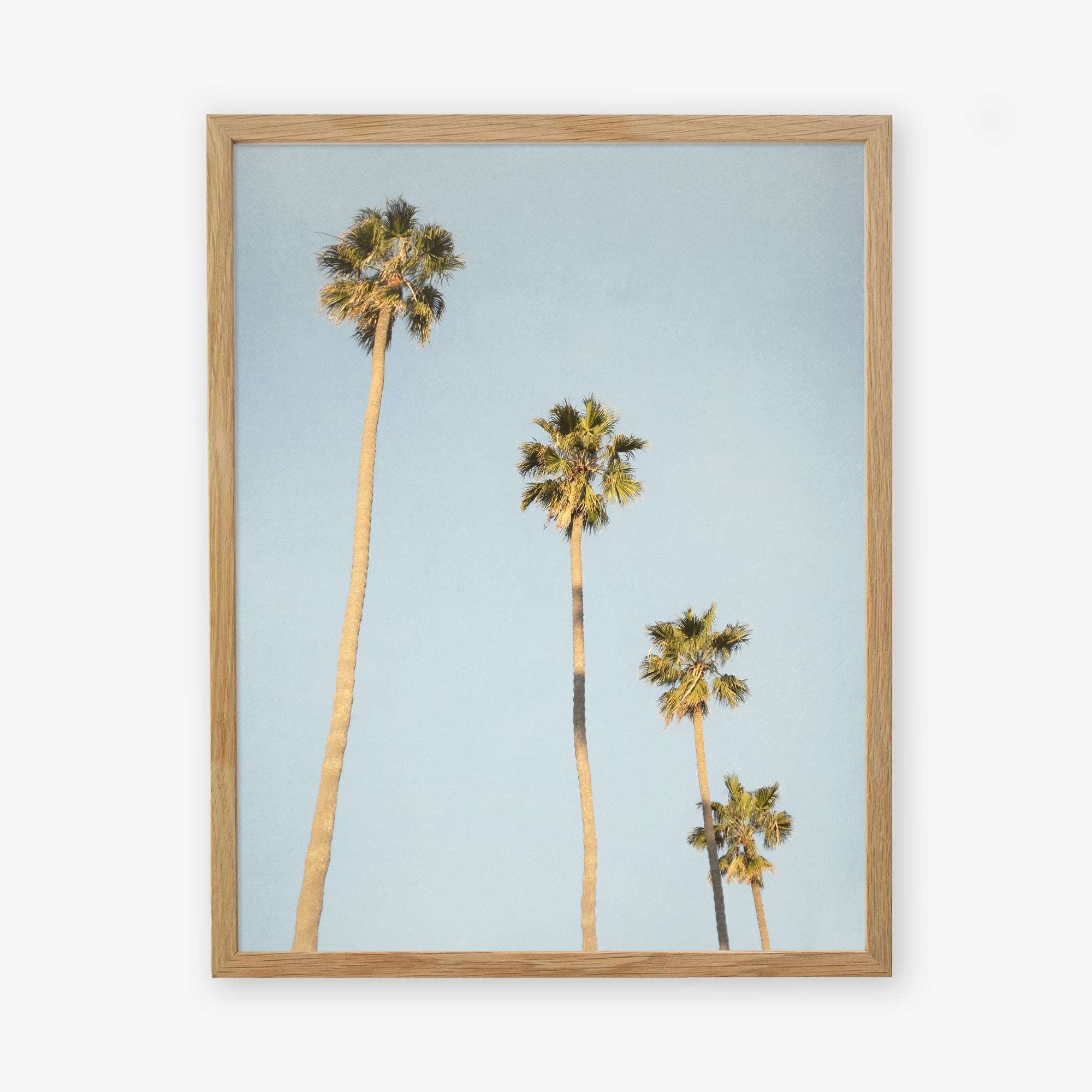 A framed photograph of the Los Angeles Palm Tree Photographic Print &#39;Palm Stairs to Heaven&#39;, displayed in a light wooden frame by Offley Green.