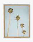 A framed photograph of the Los Angeles Palm Tree Photographic Print 'Palm Stairs to Heaven', displayed in a light wooden frame by Offley Green.