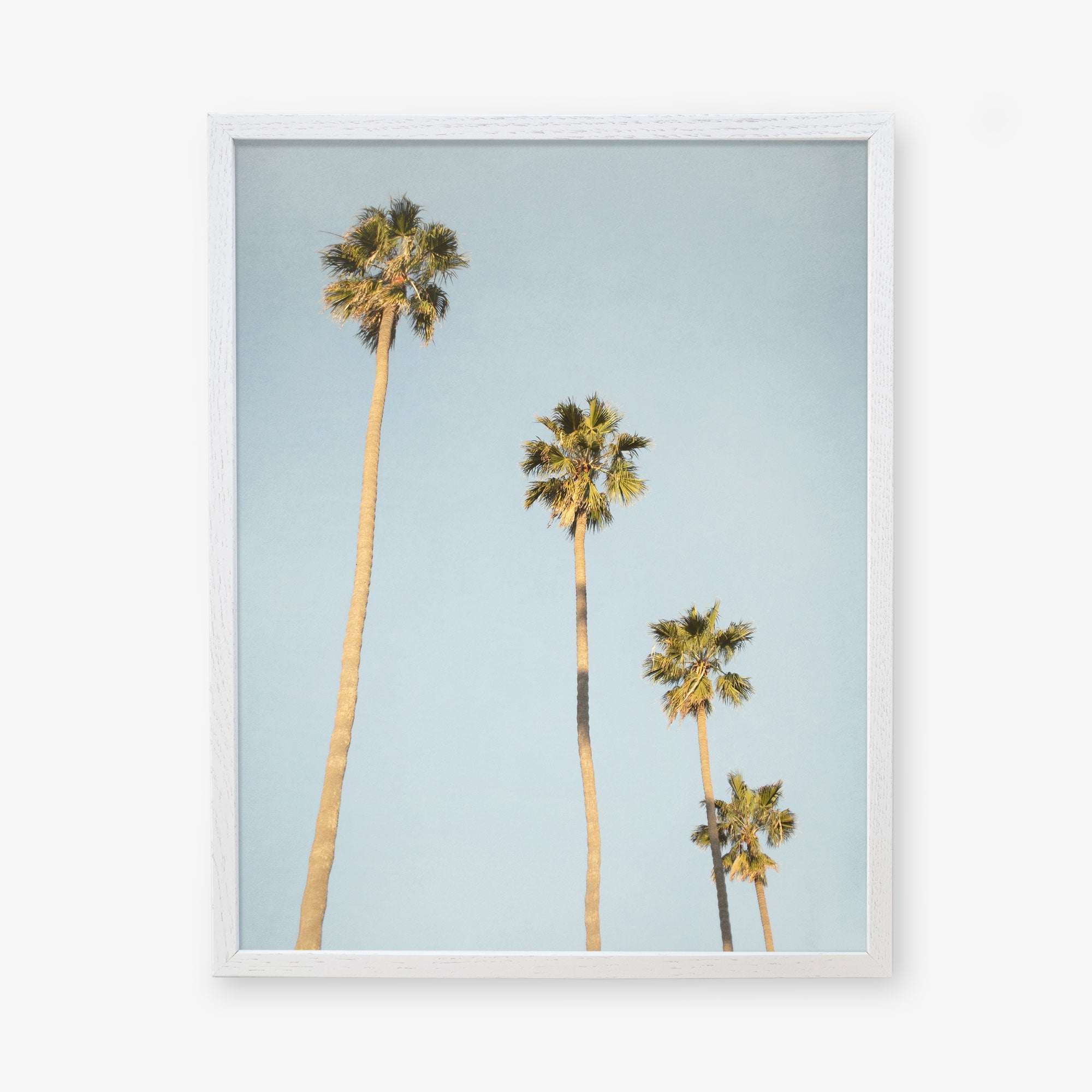 A framed photograph of four tall palm trees against a clear California sky, displayed on a white background - Offley Green&#39;s &quot;Los Angeles Palm Tree Photographic Print &#39;Palm Stairs to Heaven&#39;