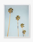 A framed photograph of four tall palm trees against a clear California sky, displayed on a white background - Offley Green's "Los Angeles Palm Tree Photographic Print 'Palm Stairs to Heaven'