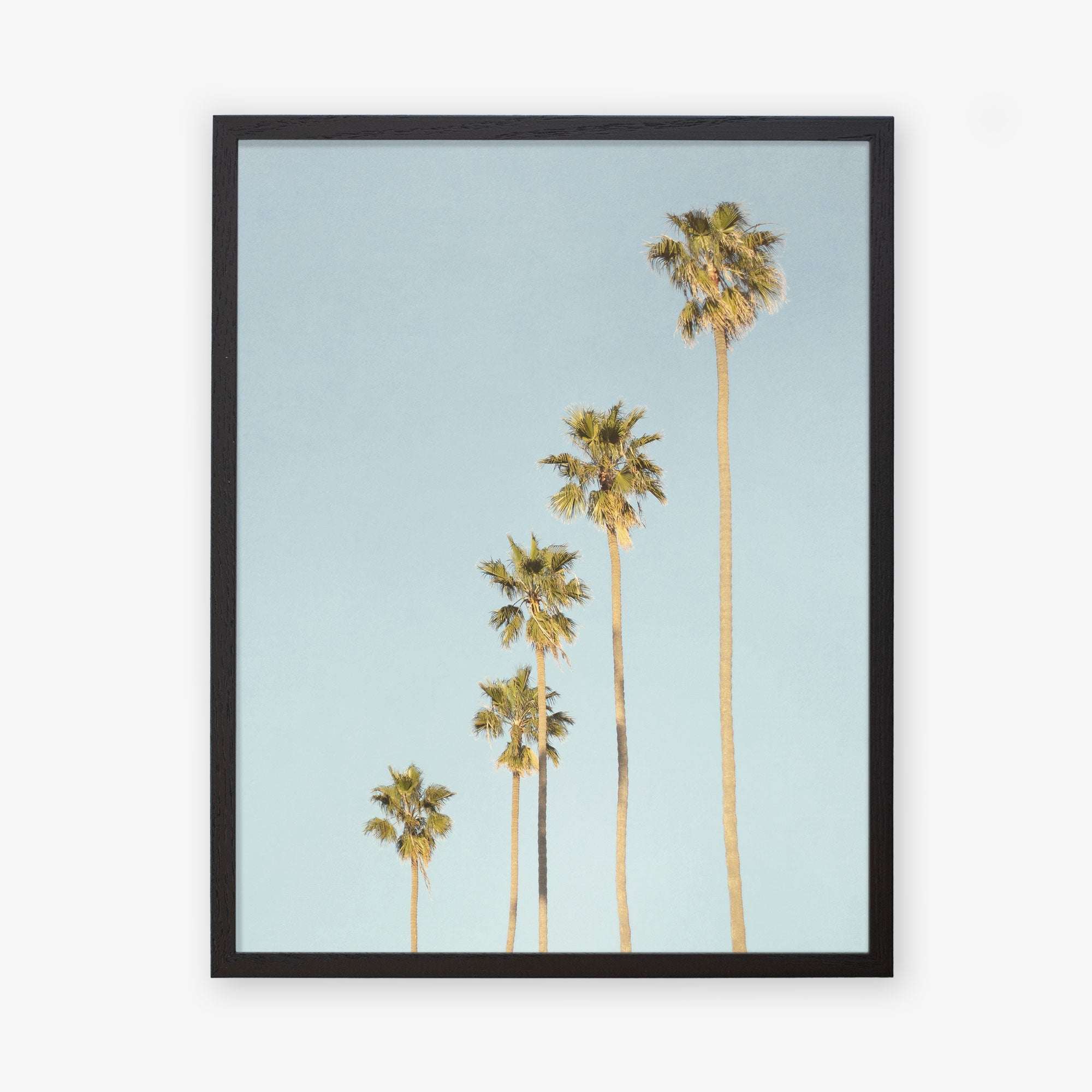 Framed photograph of five tall palm trees under a clear blue sky in a California style, viewed from a low angle, emphasizing their long trunks and lush, fluttering fronds - Los Angeles Palm Tree Photographic Print &#39;Palm Tree Steps&#39; by Offley Green