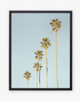Framed photograph of five tall palm trees under a clear blue sky in a California style, viewed from a low angle, emphasizing their long trunks and lush, fluttering fronds - Los Angeles Palm Tree Photographic Print 'Palm Tree Steps' by Offley Green