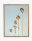 A framed picture of tall palm trees against a pale blue background. The wooden frame is simple and light-colored, enhancing the serene Offley Green 'Palm Tree Steps' photographic print scene.