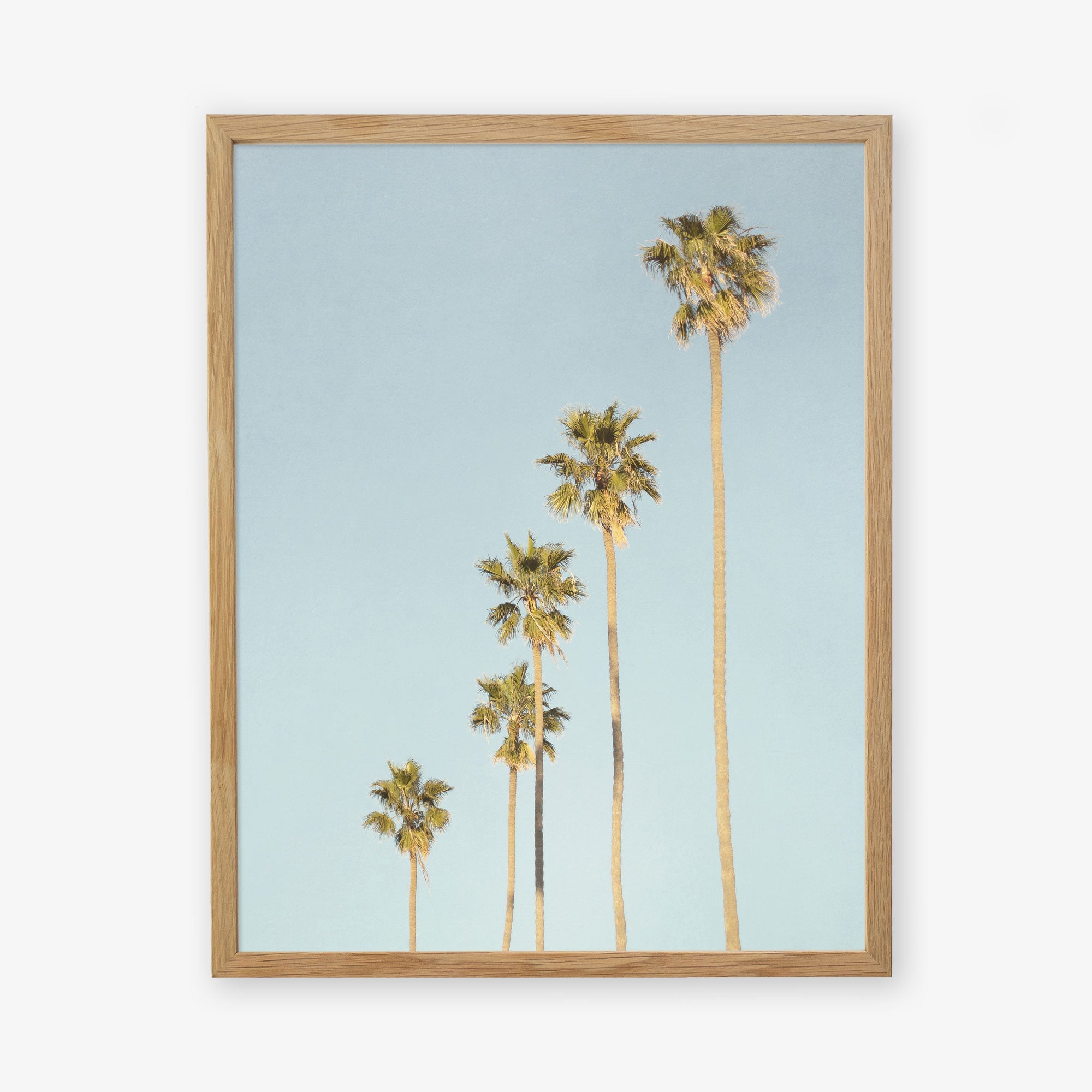 Los Angeles Palm Tree Photographic Print 'Palm Tree Steps